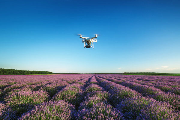 UAV မော်တာမော်ဒယ်