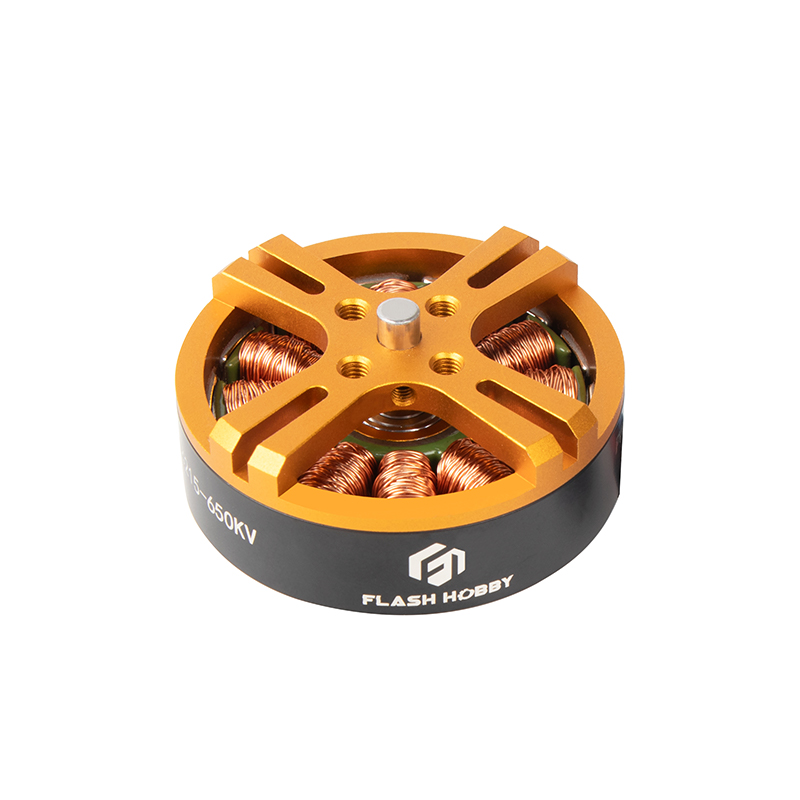 D4215 Brushless DC Motor